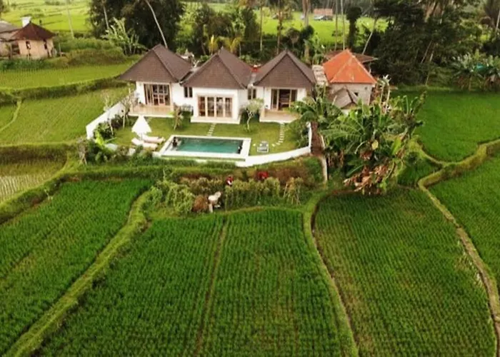 2 Bedroom With Open View Of Rice Paddies & Sunset Villa Payangan