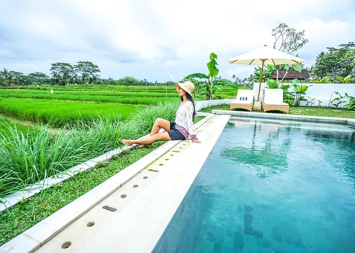Villa 2 Bedroom With Open View Of Rice Paddies & Sunset Payangan